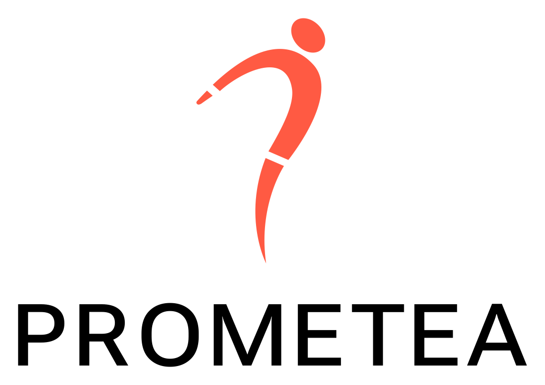 Prometea Pixel Srl